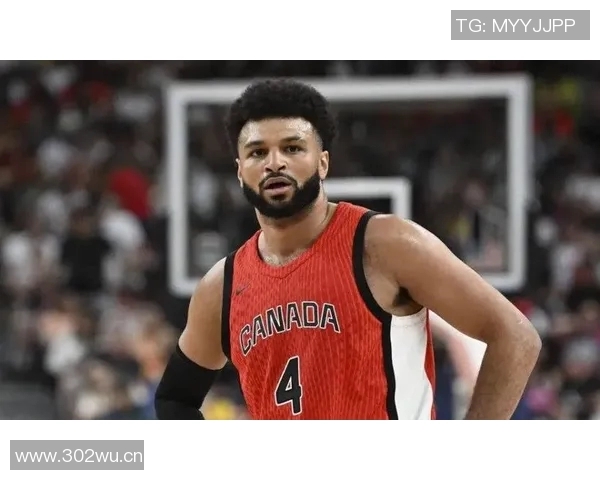 穆雷NBA赛场表现与关键数据分析